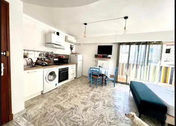 Palm Apartamento *