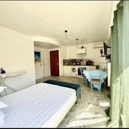 Palm Apartment